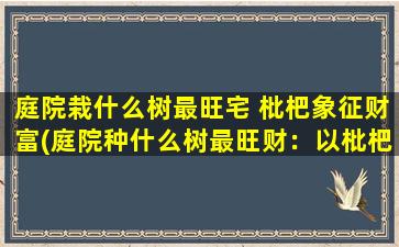 庭院栽什么树最旺宅 枇杷象征财富(庭院种什么树最旺财：以枇杷为主的鲜果树种推荐)